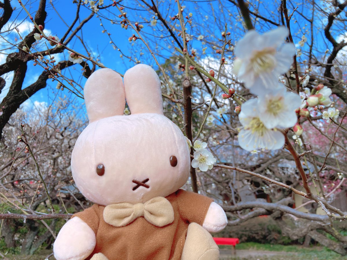 ブラウンちゃんの休日③