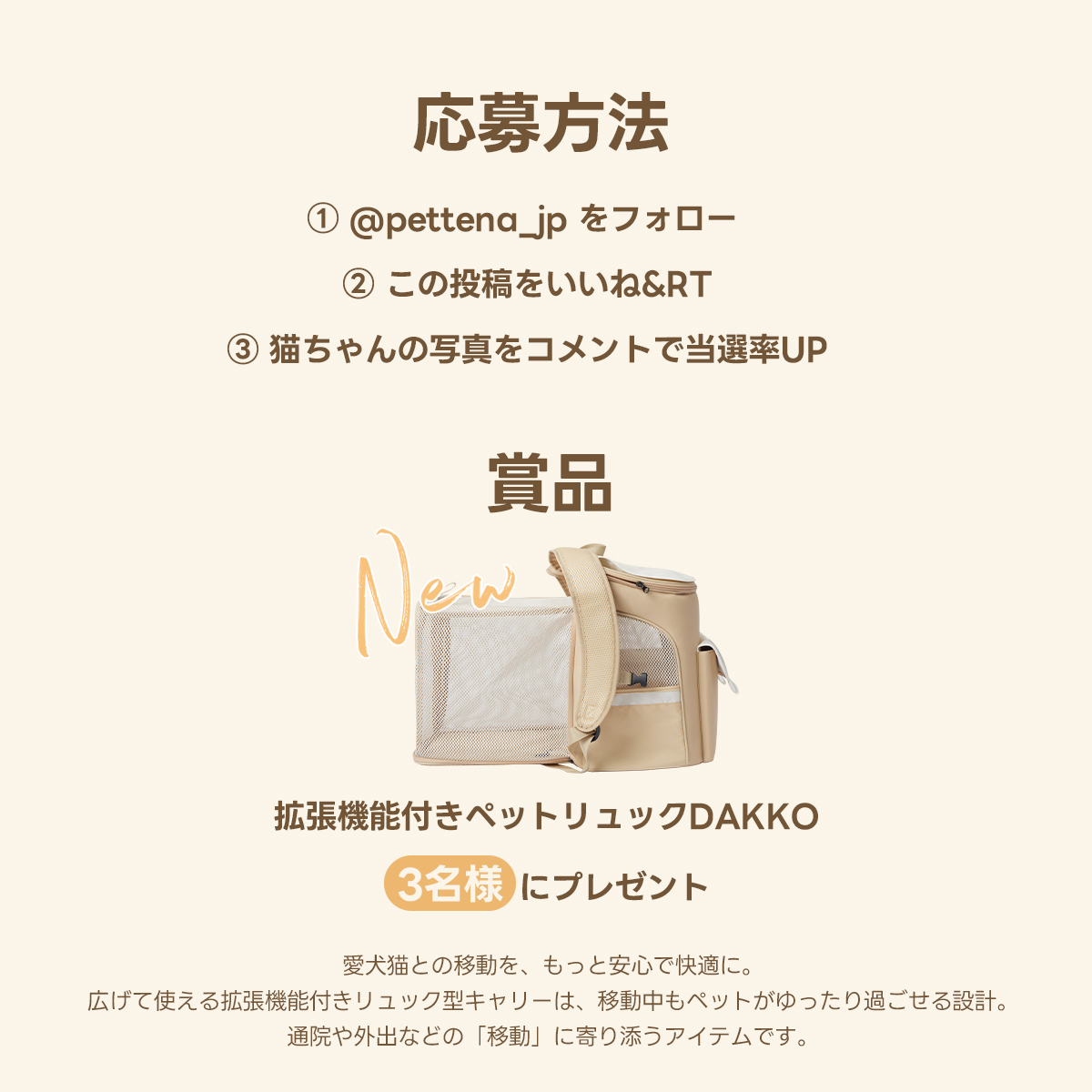 🐾 2.22 猫の日キャンペーン開催 🐱
新品ペットリュックDAKKOをプレゼント🎁✨

【応募方法】
① このアカウント＠pettena_jp をフォロー
② この投稿にいいね＆リポスト
でエントリー完了！
さらに——
コメント欄に愛猫写真を投稿すると
当選確率アップ📸🐱✨

たくさんのご参加お待ちしています！