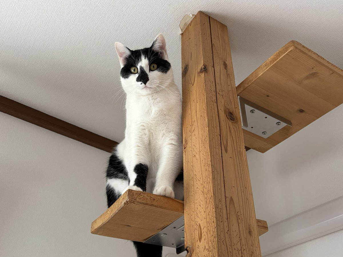 せいいち (@ryoupapa1001) / Posts / X