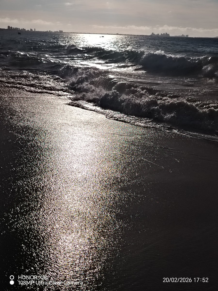 Apolo1494 tweet media