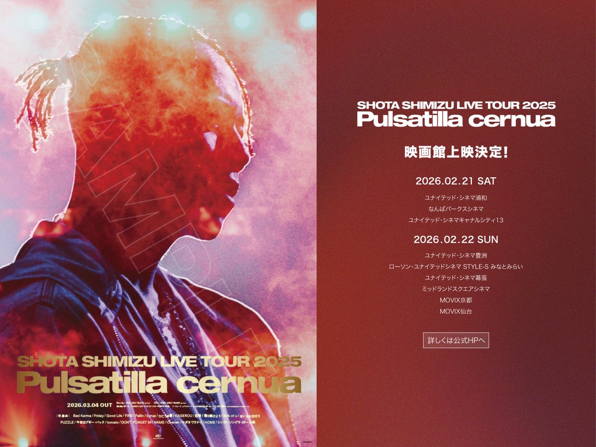 清水翔太 ライブ 2025 DVD Pulsatilla cernua body_123743.jpeg