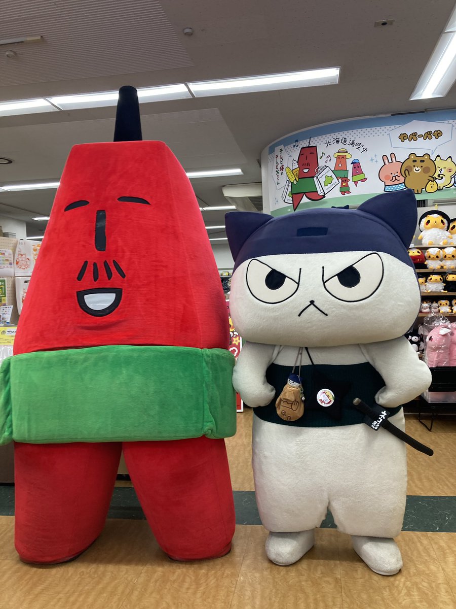 テレビ父さんとお揃いの腹巻きカッコイイね♪ #テレビ父さん #ネコ影