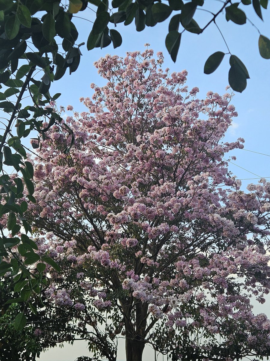 Rohan Mukherjee (@roerohan) on Twitter photo 