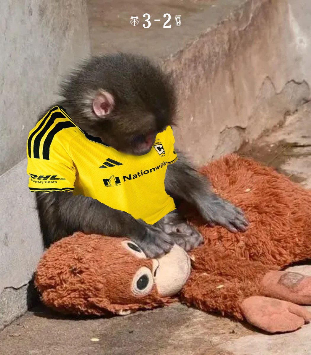 Losing your season opener is a gut 𝙋𝙐𝙉𝘾𝙃