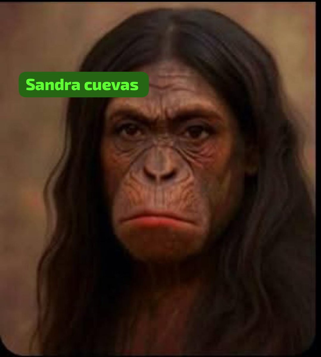 Emmanuel_Roock's tweet photo. @c4jimenez @SandraCuevas_ @FiscaliaCDMX Esa pinche churpia ya superó a las putonas del bienestar, que asco de vieja andar con puro mugroso lacroso 🤮🤮🤮🤮 https://t.co/ASSfQmbXie
