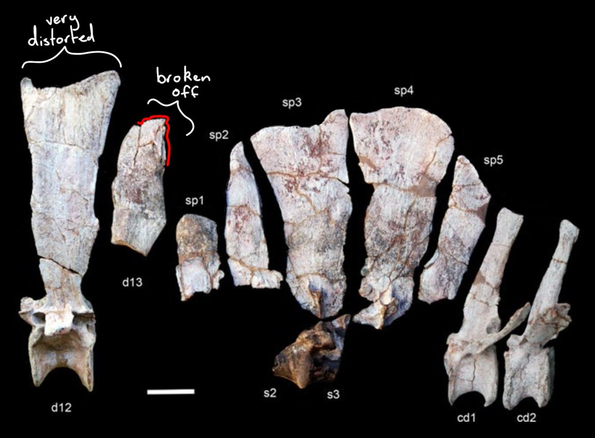 Ashley Patch tweet media