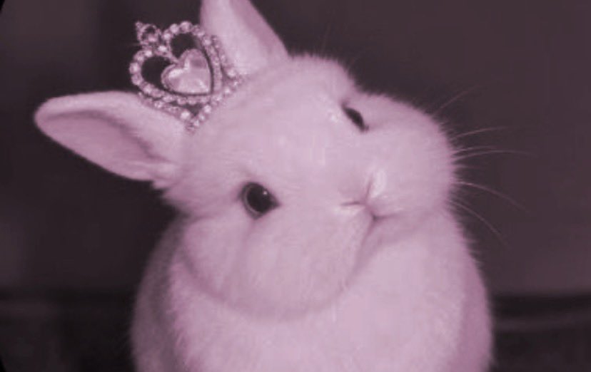 โฉ ๐๐ฆ๐ณ๐ฆ๐ซ๐ข โฉโฆ๏ธ tweet media