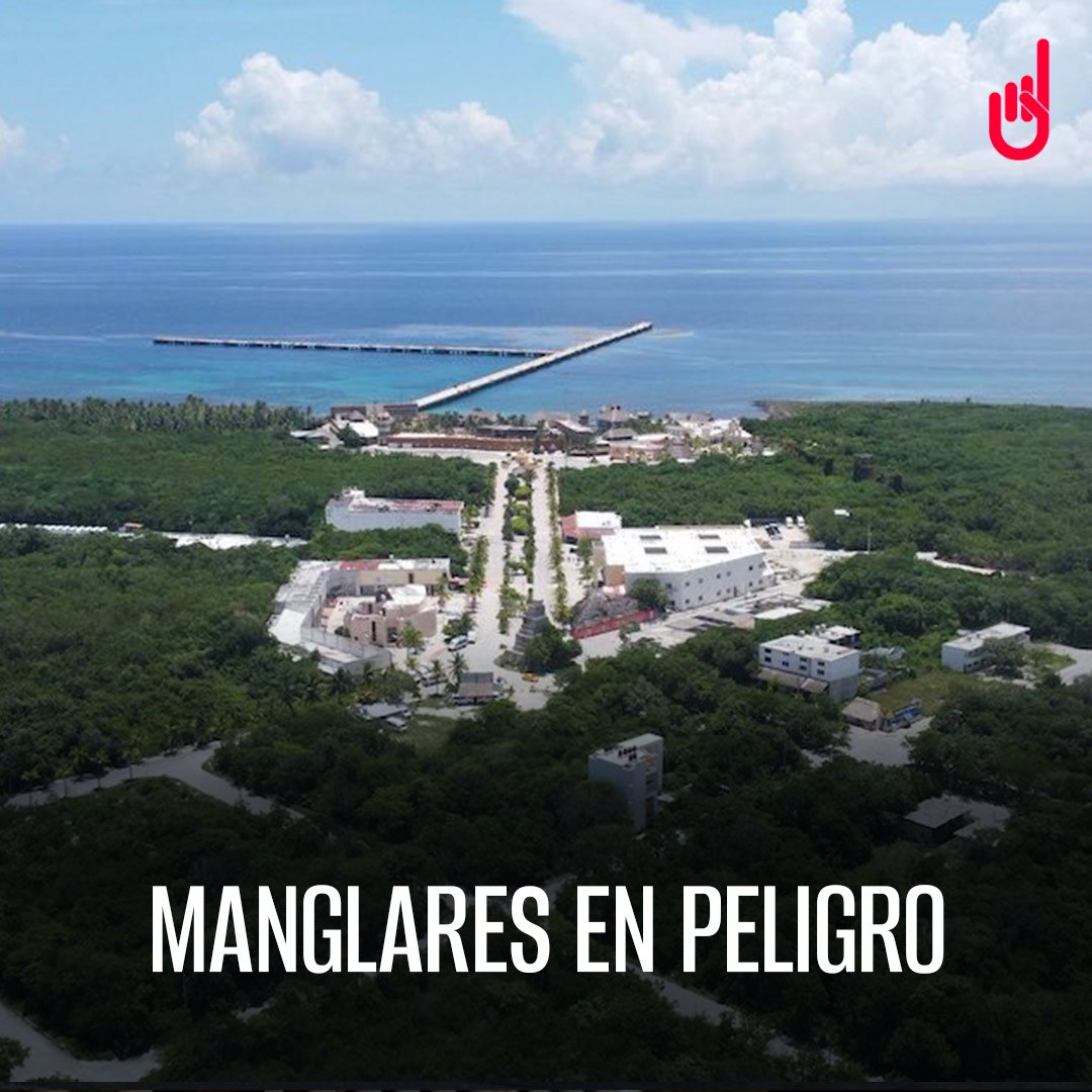 SinEmbargo tweet media