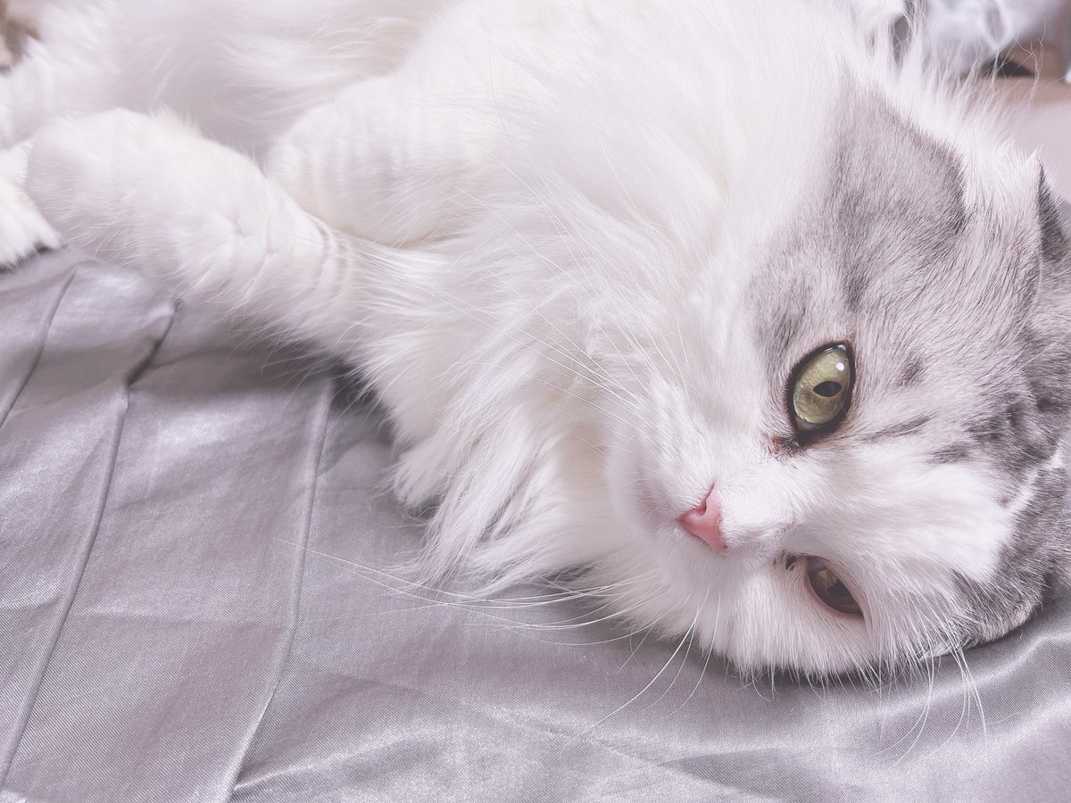 ねぇね( ´・ ・`) (@ne_ne0125) / Posts / X