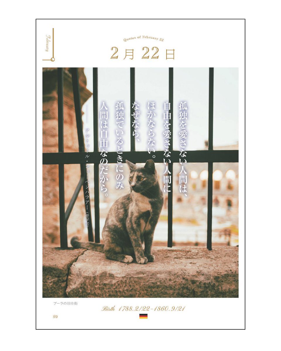 猫の日ですね✨ 毎日ひとつの名言と世界の景色、そして猫の写真を