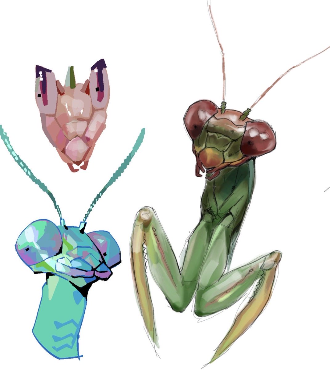 Petrisolaris tweet media