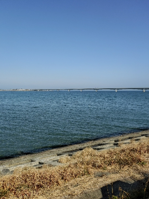 bigone3012's tweet photo. 春を感じた1日②
#ゴルフ練習　#吉野川　#TheDay　#徳島　#バレンタインデー https://t.co/5LXlx2sfBb