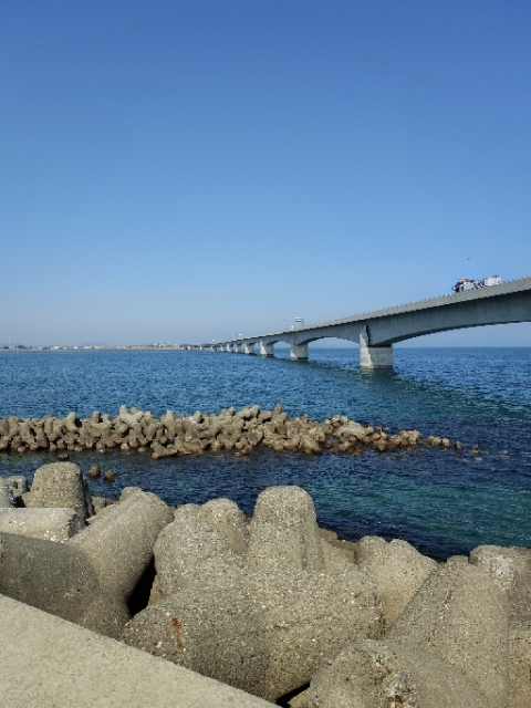 bigone3012's tweet photo. 春を感じた1日②
#ゴルフ練習　#吉野川　#TheDay　#徳島　#バレンタインデー https://t.co/5LXlx2sfBb