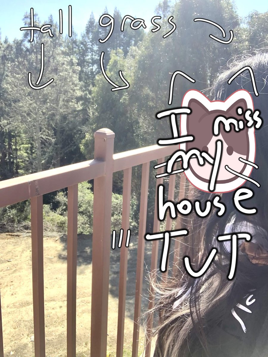 touch grass chat says

FINE BET
TRAVELS A FEW HOURS TO A DUCKING MOUNTAIN FOR SOME GRASS

left the house today and the freeeeeeeeeezh crissspyy mountainyyy wildness air is so nice

i put some in a ziploc bag to consume at my home city house :3c 

observe proof!!