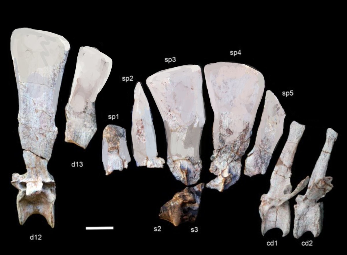 Ashley Patch tweet media