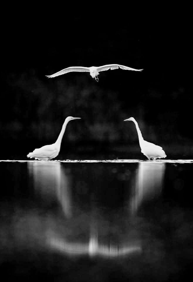 Marie (@m77481070) on Twitter photo 