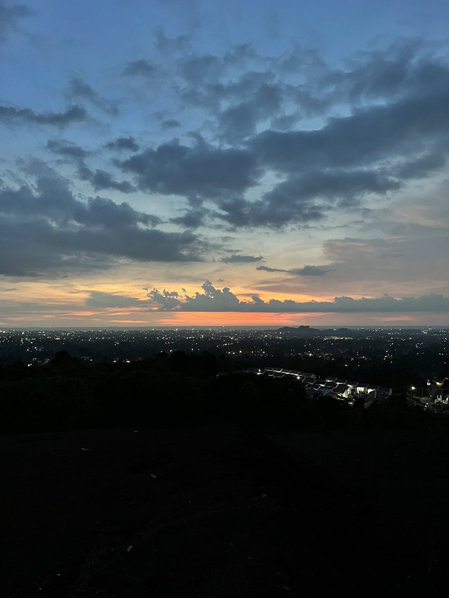 alxversion tweet media