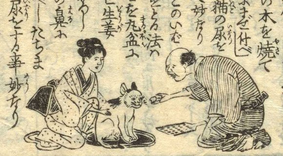 これは猫を丸盆にのせて鼻におろし生姜をつけおしっこをさせているところの絵です。
なぜわざわざ猫にお盆のうえでおしっこさせるかというと、ネズミに噛まれた傷に猫のおしっこをつけるとよく効くからだそうです。
ここまで全てが意味わからない。