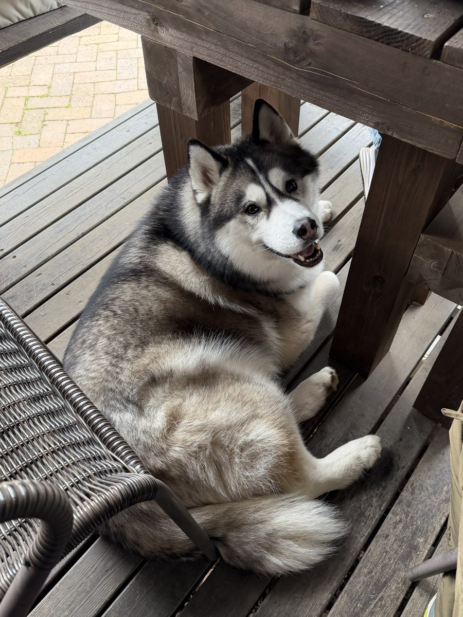 Genie(ジーニー) (@Genie_0213) / Posts / X