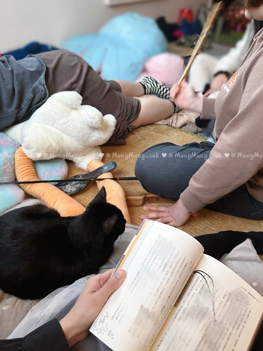 可蒙蒙 ꒰˶˙˘˙˶꒱ིྀ⸝ tweet media