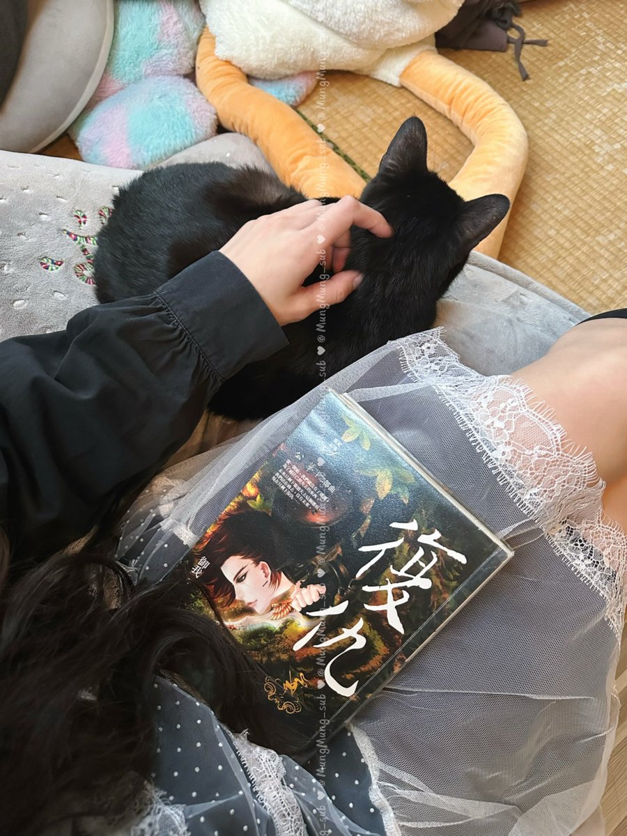 可蒙蒙 ꒰˶˙˘˙˶꒱ིྀ⸝ tweet media