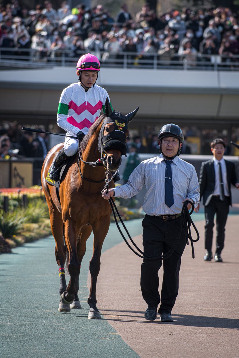 ami3161's tweet image. 2026/02/22（日）  東京9R ヒヤシンスS（L）

原田和真 騎手

ユアフェリシティ 号　Your Felicity 
#田中義明オーナー
#千葉直人厩舎 #鮫川啓一牧場