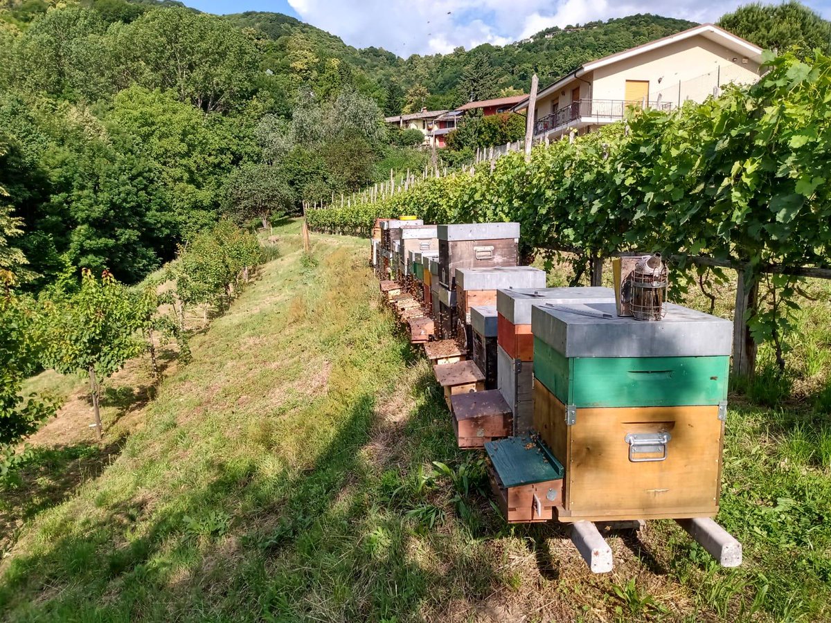 Laboratorio Alte Valli tweet media