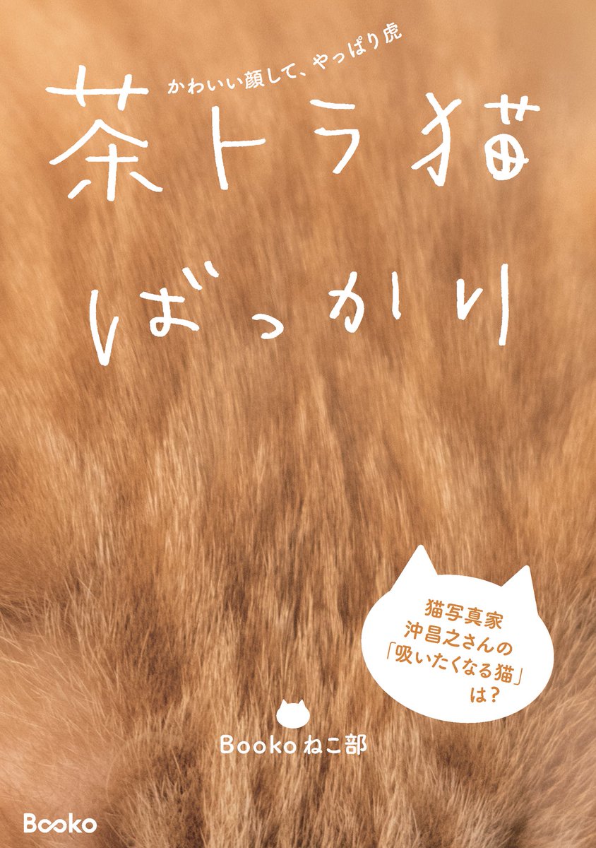 無事にみんなの写真集『茶トラ猫ばっかり』が発売されました。
ご応募いただいた皆様、ありがとうございます！
個性豊かな茶トラ猫ばっかり集めた茶色い写真集になりましたが、飼い主さんの愛が詰まっています。
猫写真家・沖昌之さんの“吸いたい猫”、３匹も！
ありがとうございました。