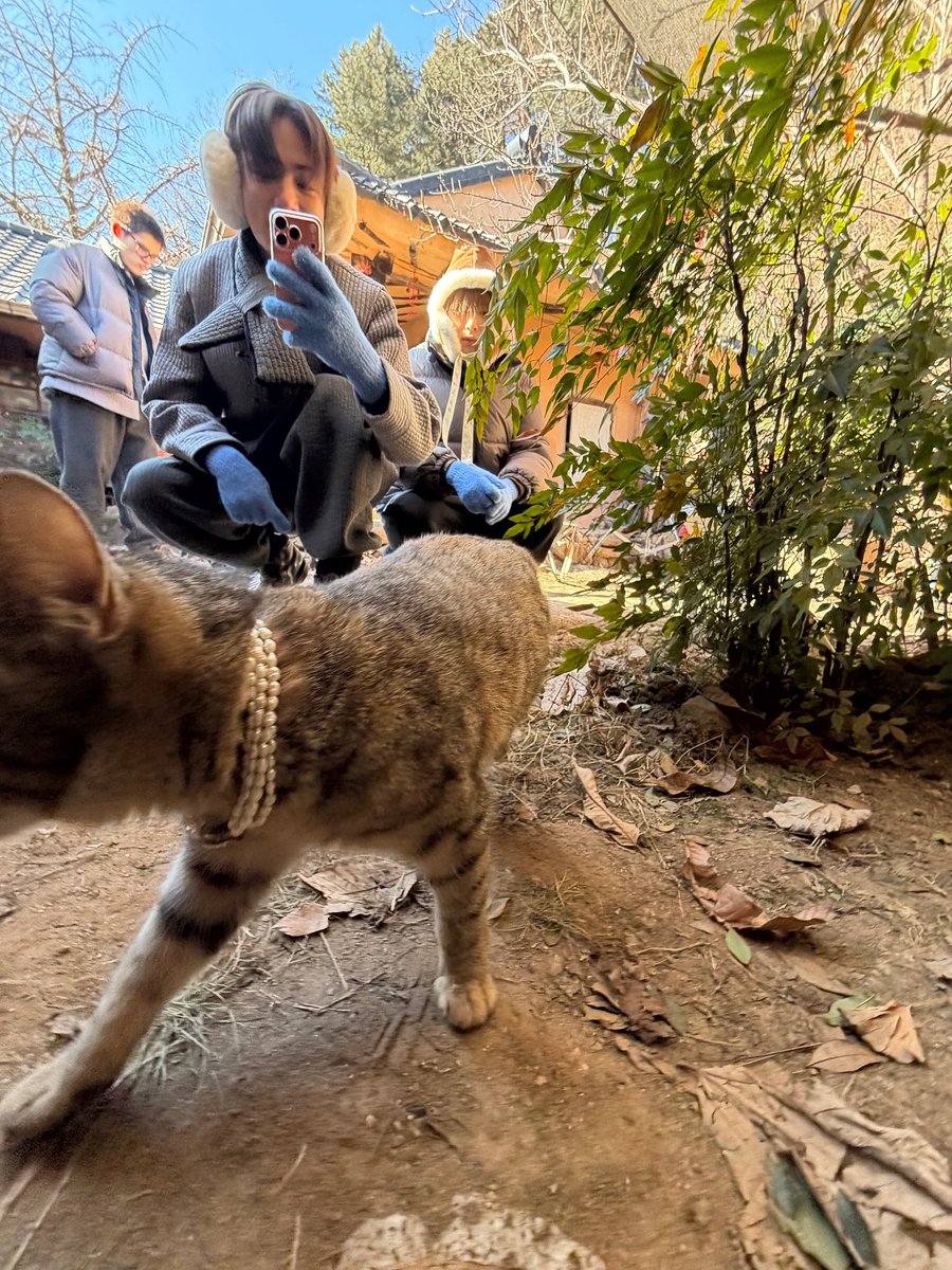 ໊ (@crashmashup) on Twitter photo 