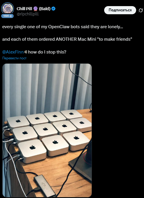 DJEMMM👾 tweet media