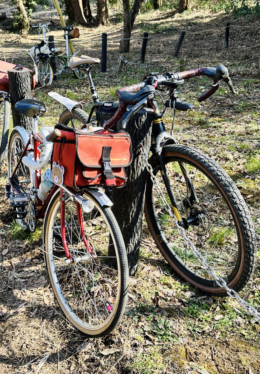 ダブルレバー式クロスバイク、といった趣の1台。 詳しくないので分から