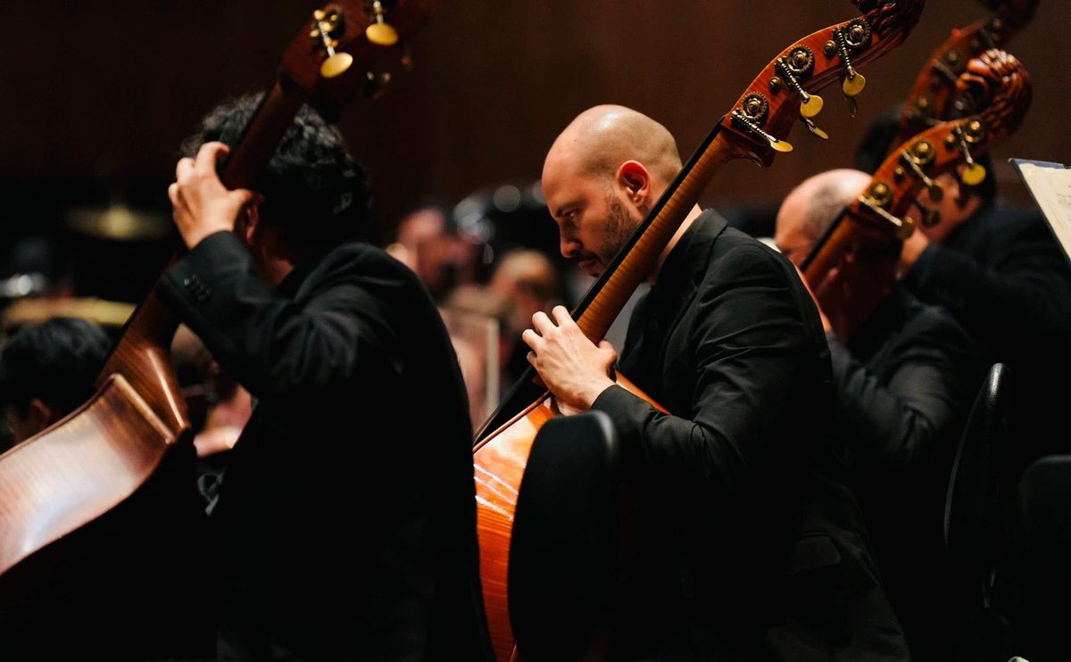 Secretaría de Cultura de la Ciudad de México tweet media