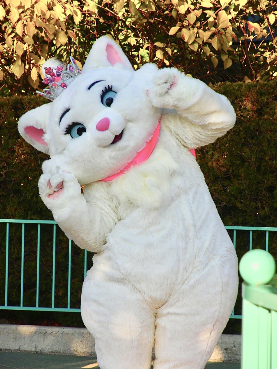 👑プリンセス・マリー🎀