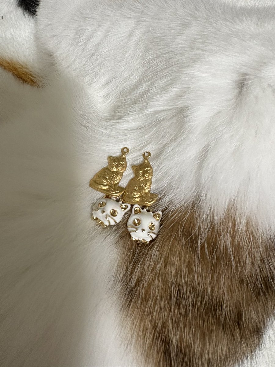 可愛くて買っちゃいましたー！ 店舗で見つけて時間なかったので