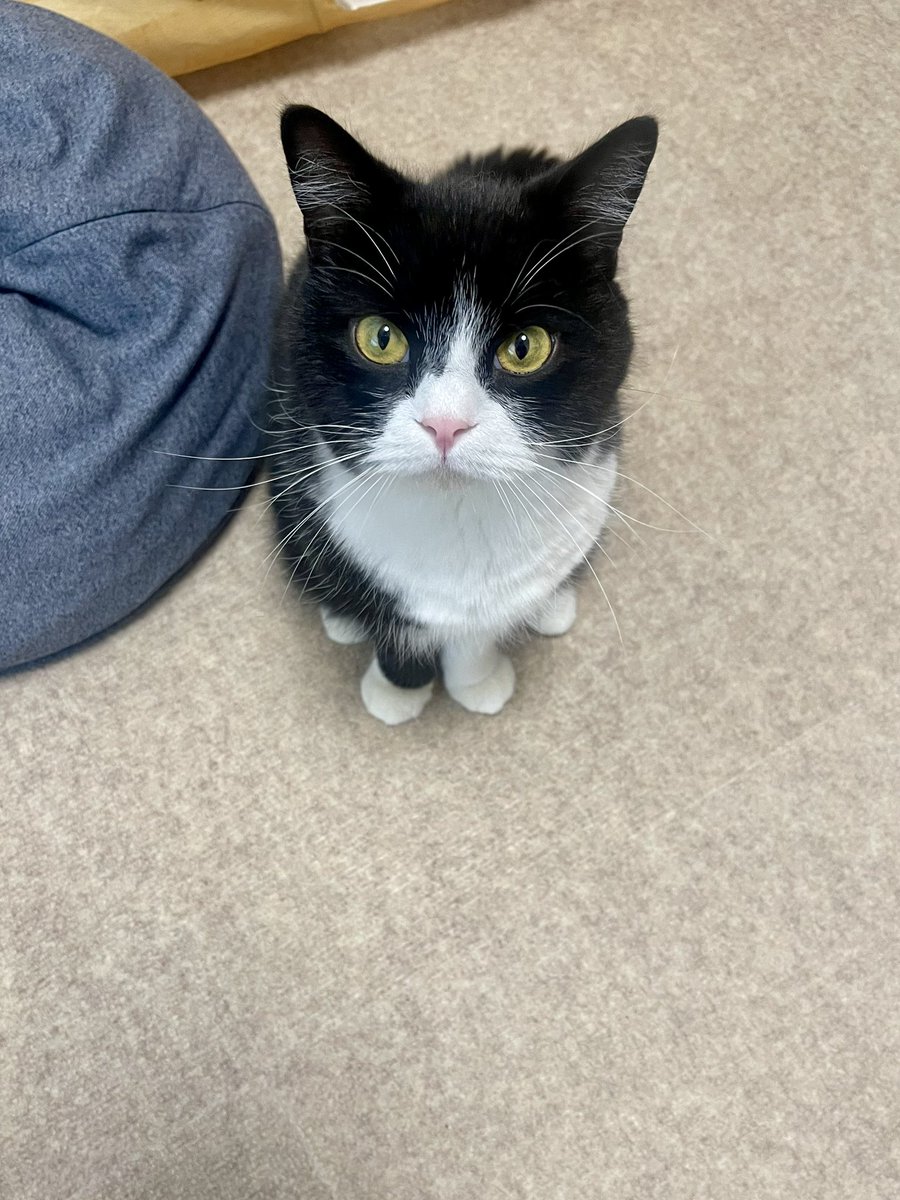 たろう (@taro20216) / Posts / X