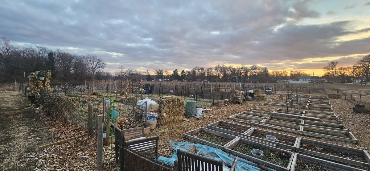 856 Photography tweet media