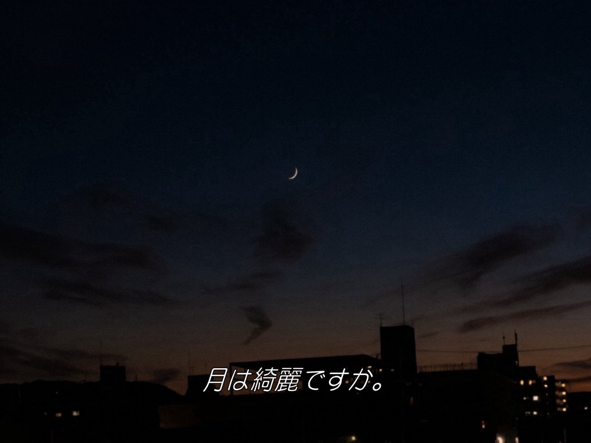 Payao/詩人 tweet media