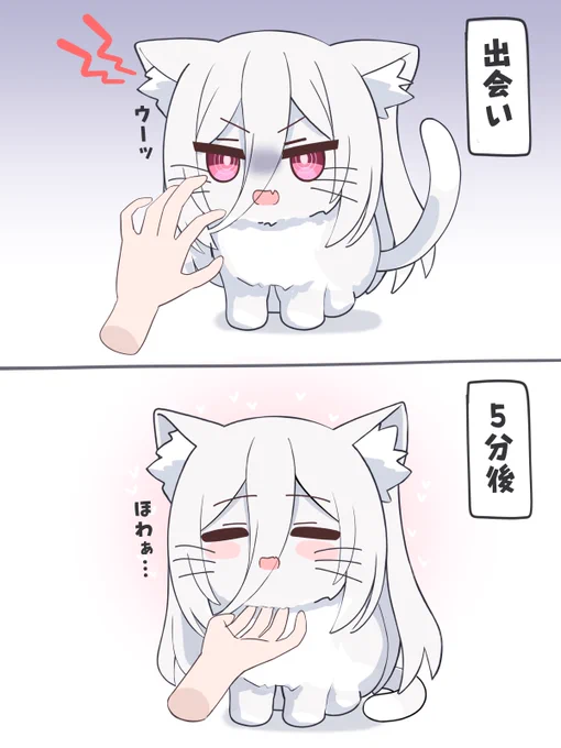 ケイちゃんネコとの出会い 