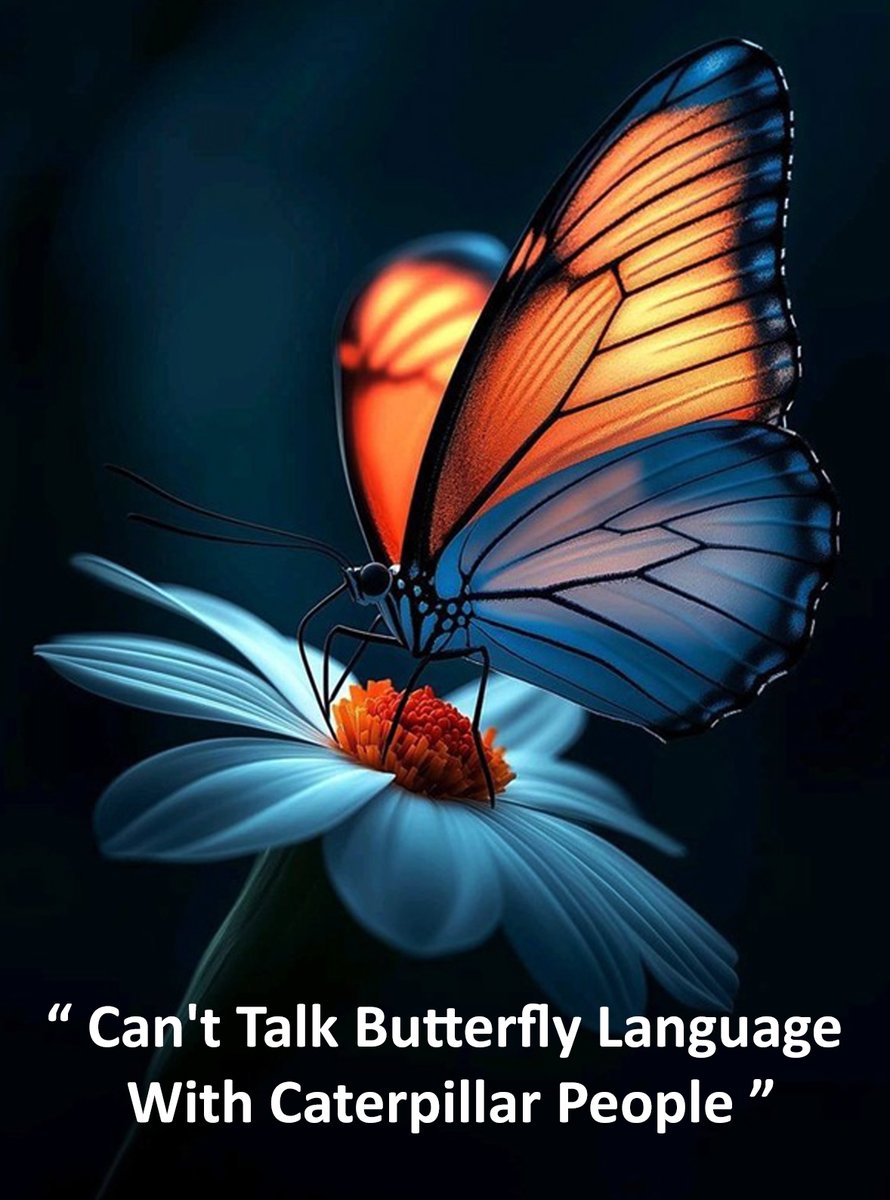 charlivlb's tweet photo. Can't Talk Butterfly Language With Caterpillar People...!

#quote #quotes #lifequotes #dailyquotes #butterfly #butterflywings #language #LANGUAGE #caterpillar #people https://t.co/uWXadVnngp