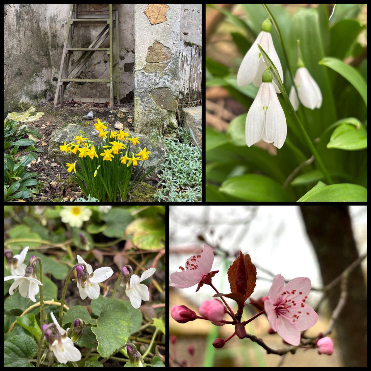 frdvil's tweet image. A Sunday in the countryside 
#springiscoming