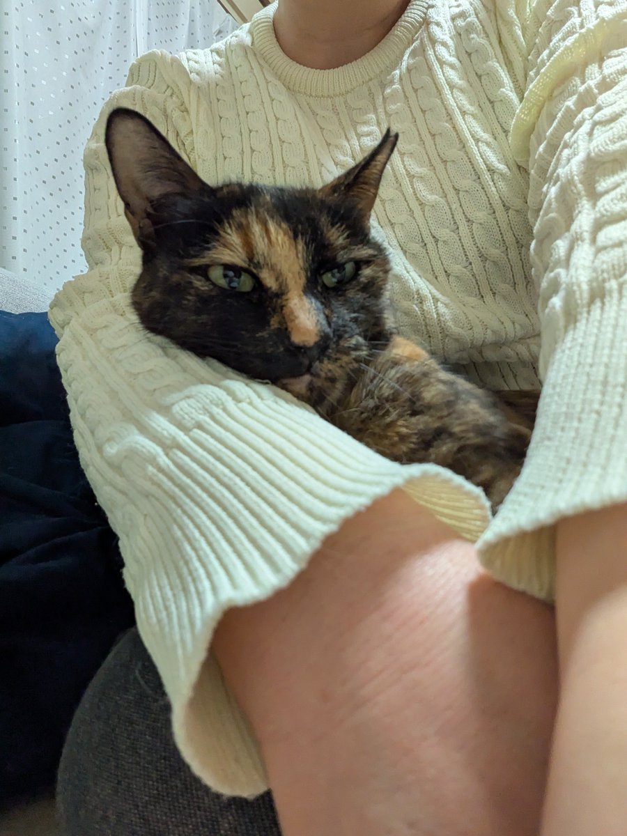 トケイ tweet media