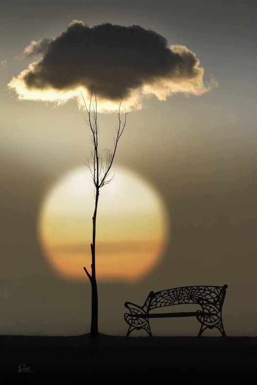 E tutto mi sa di miracolo;
e sono quell'acqua di nube
che oggi rispecchia
nei fossi più azzurro
il suo pezzo di cielo,
che pure stanotte non c'era.

Salvatore Quasimodo

Foto Aissa Salhi