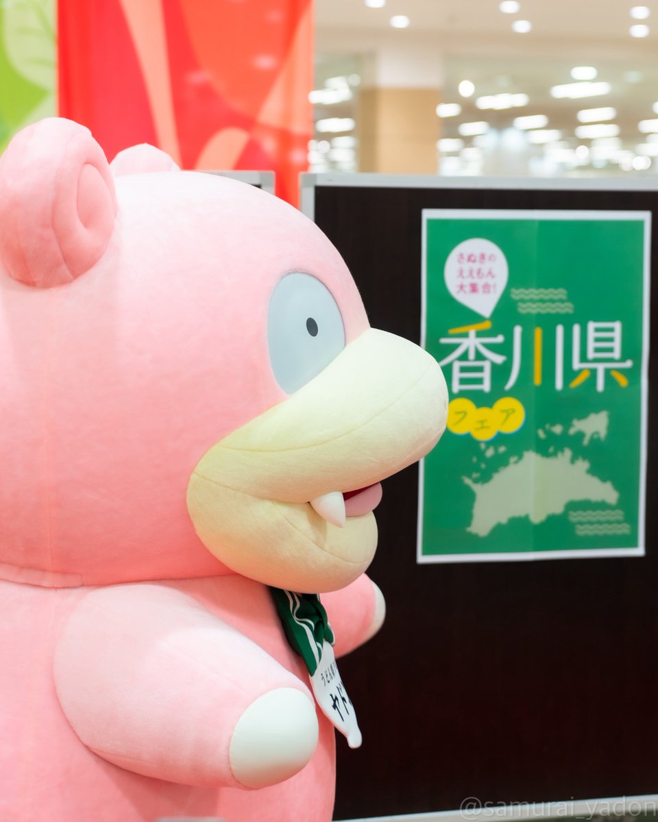 さむらいやどん (@samuraiyadon) / Posts / X