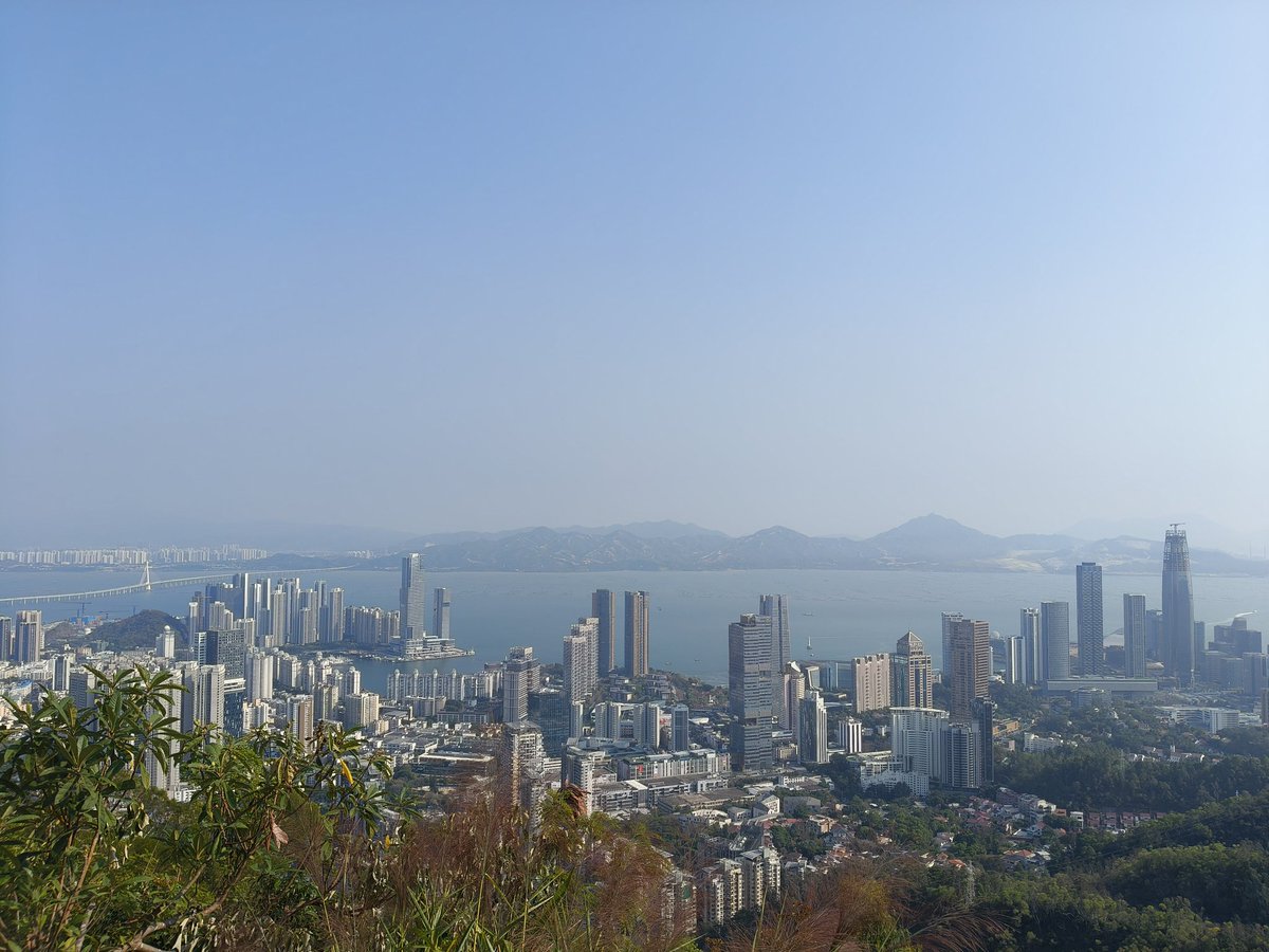 漏勺舀香菜 tweet media