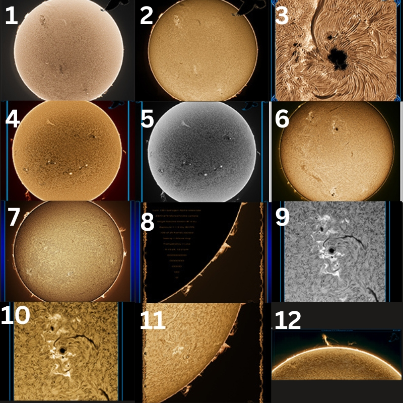 Skeletony tweet media