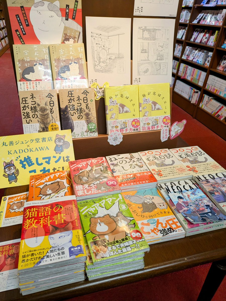 ジュンク堂書店天満橋店コミック tweet media