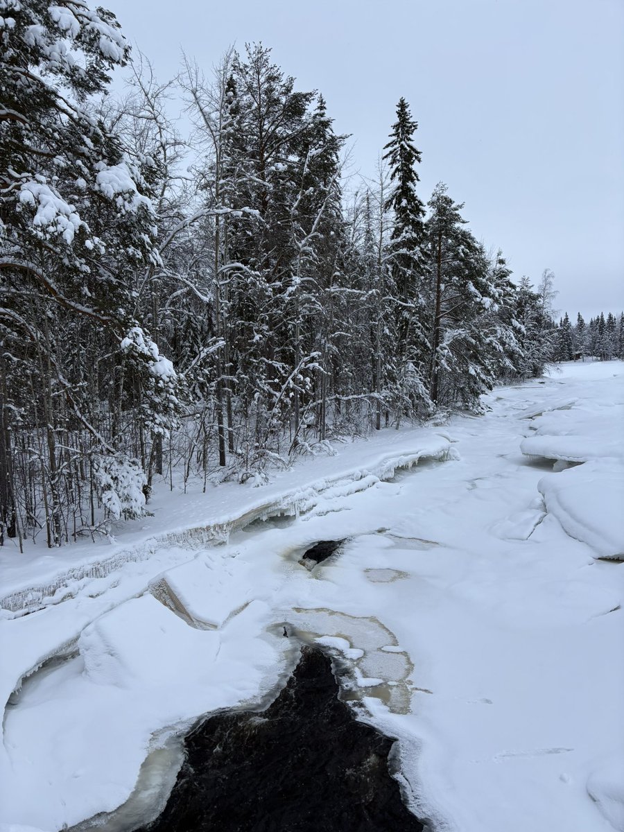 TƎrr99⭕️🎡 tweet media