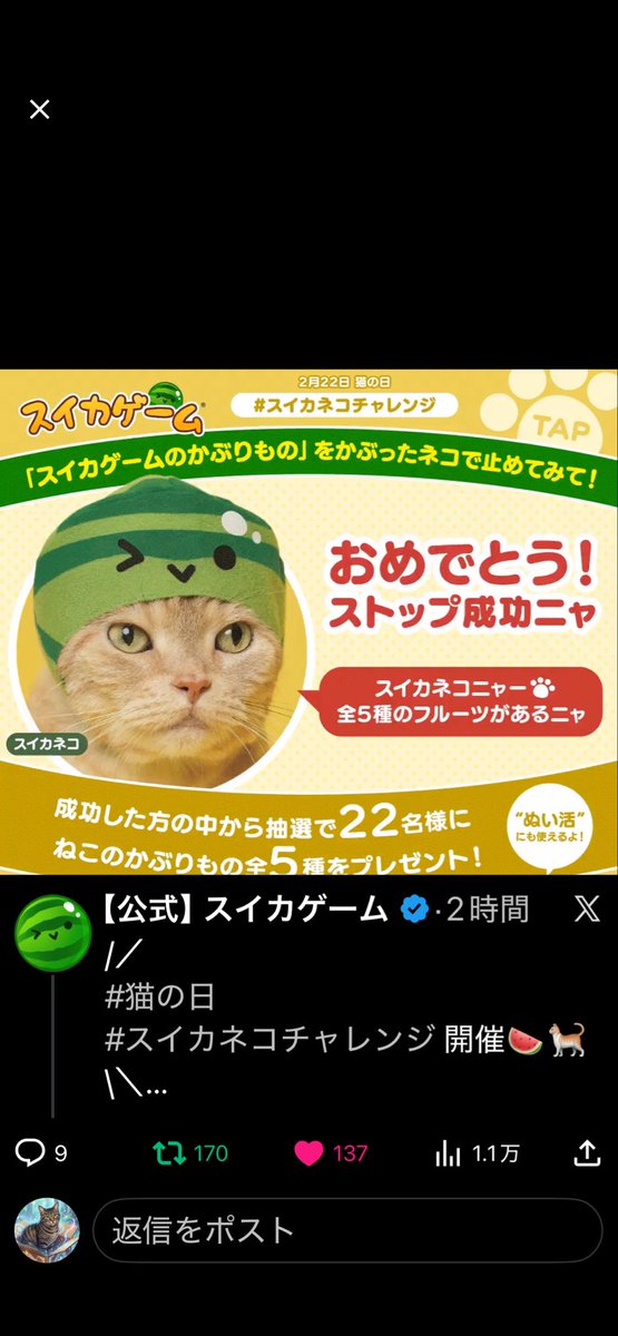 スイカゲーム公式さん！かっかわいい被り物過ぎますって