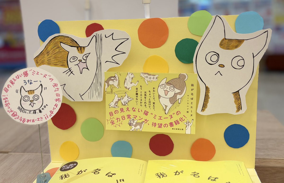 我が名はミエーヌ』発売中🔔書店陳列祭り #我が書店のミエーヌ 開催中