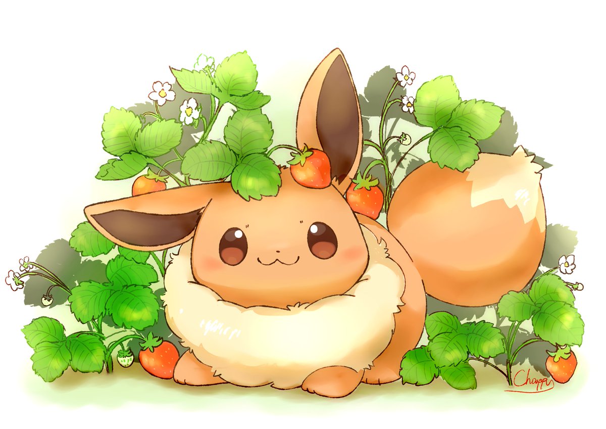 チャッピー🦊🐾 (@CHAPPIKA38) / Posts and Replies / X